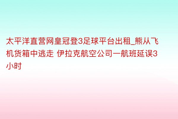 太平洋直营网皇冠登3足球平台出租_熊从飞机货箱中逃走 伊拉克航空公司一航班延误3小时
