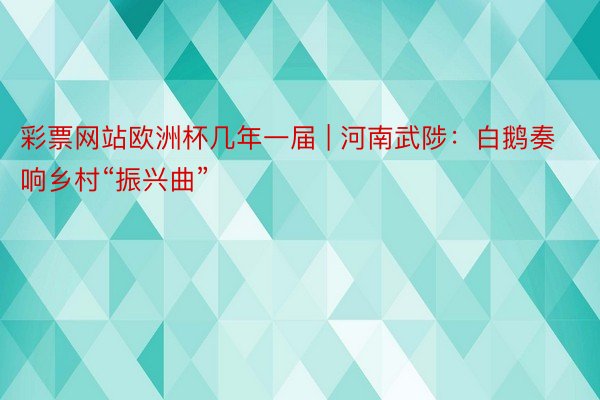 彩票网站欧洲杯几年一届 | 河南武陟：白鹅奏响乡村“振兴曲”