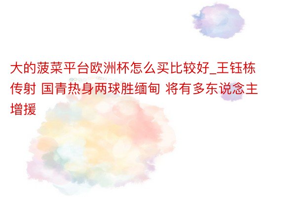 大的菠菜平台欧洲杯怎么买比较好_王钰栋传射 国青热身两球胜缅甸 将有多东说念主增援