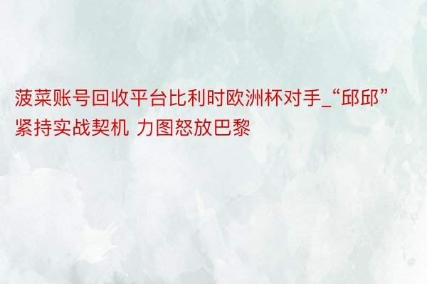 菠菜账号回收平台比利时欧洲杯对手_“邱邱”紧持实战契机 力图怒放巴黎