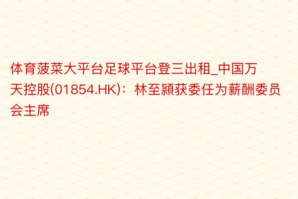 体育菠菜大平台足球平台登三出租_中国万天控股(01854.HK)：林至頴获委任为薪酬委员会主席